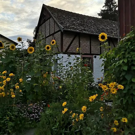Gästezimmer Zur Alten Linde * Walsdorf (Rhineland-Palatinate)
